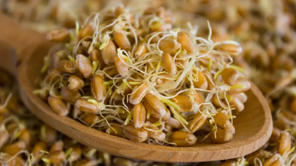 ماسک جوانه گندم برای چاقی صورت
