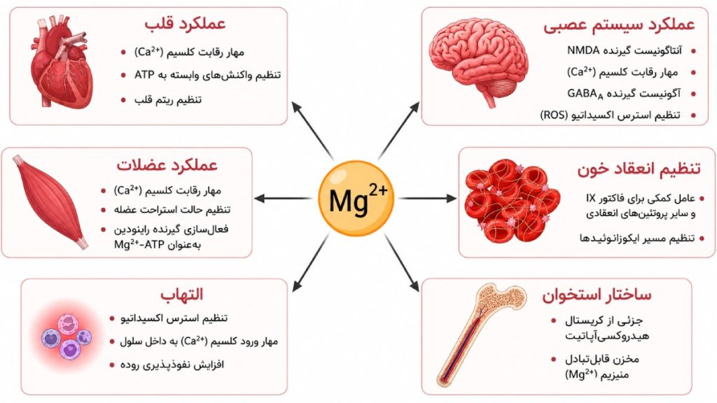 کمبود منیزیم و درد مفاصل