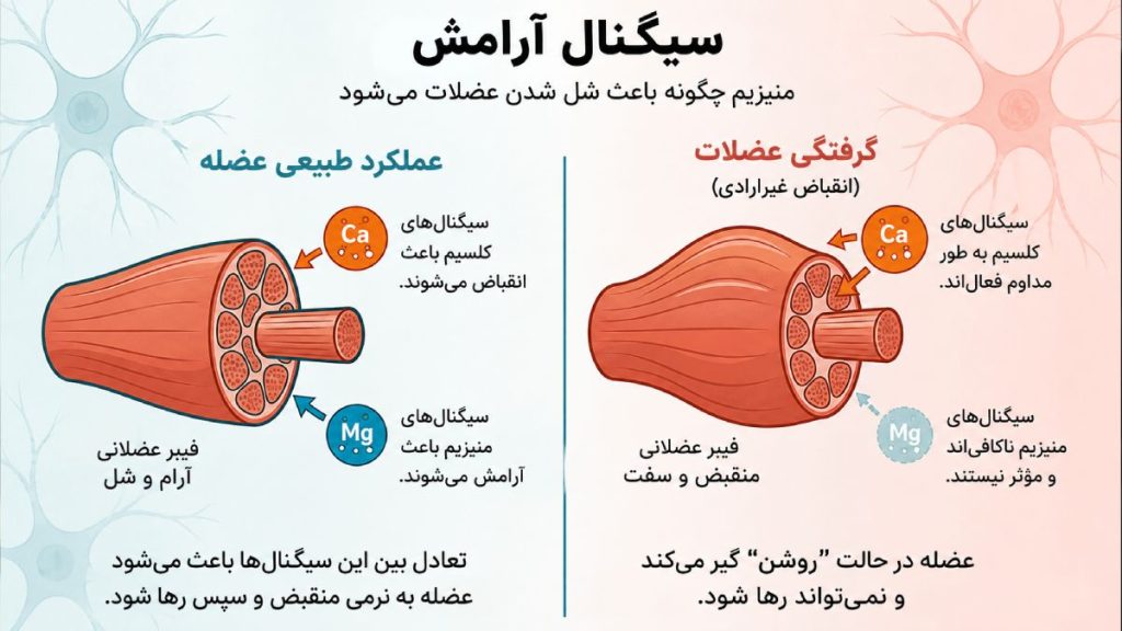 بهترین انواع قرص منیزیم برای گرفتگی عضلات